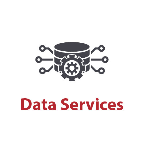 Data Services
